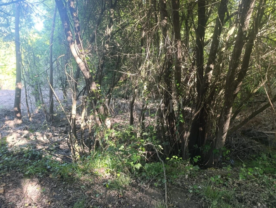 Terreno para Venda em Alcongosta Foto 14