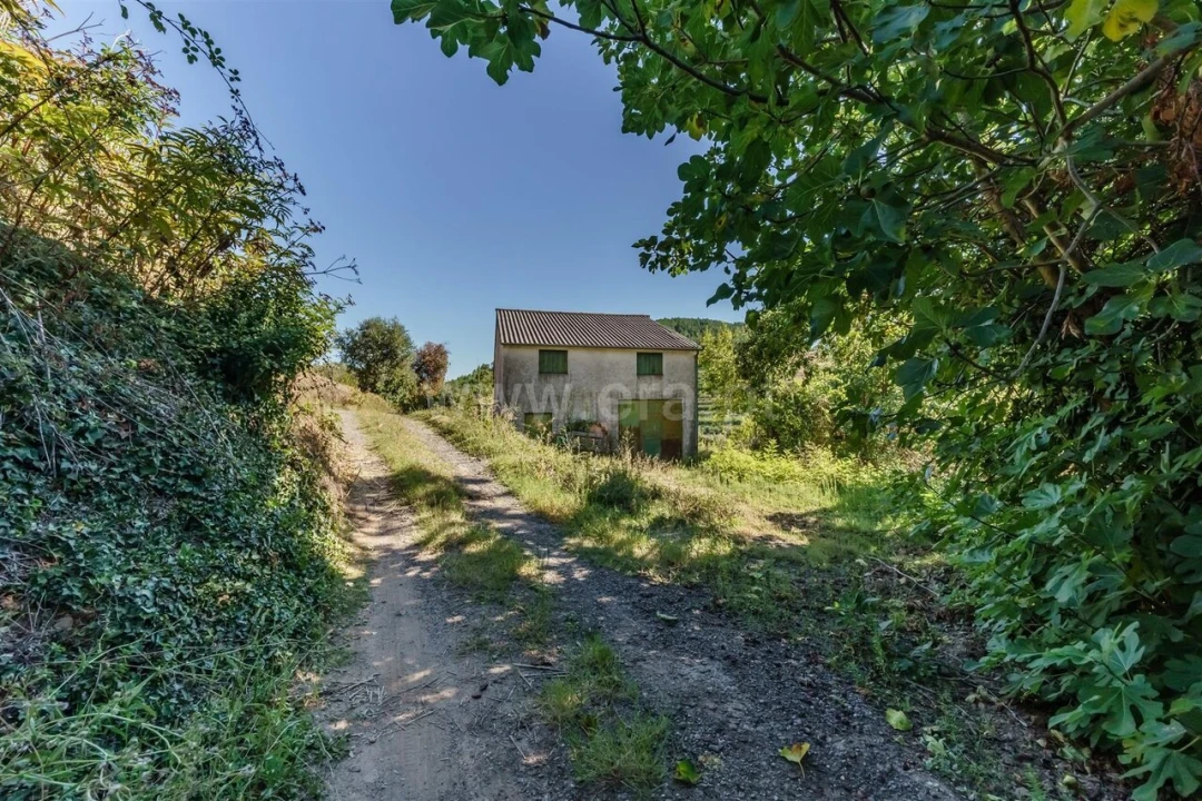 Quinta T0 para Venda em Alcongosta Foto 1