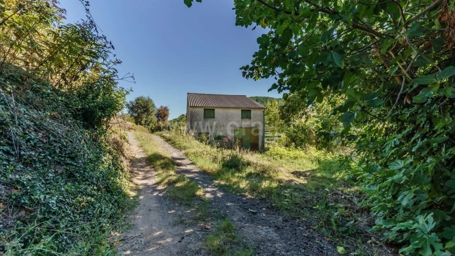 Quinta T0 para Venda em Alcongosta