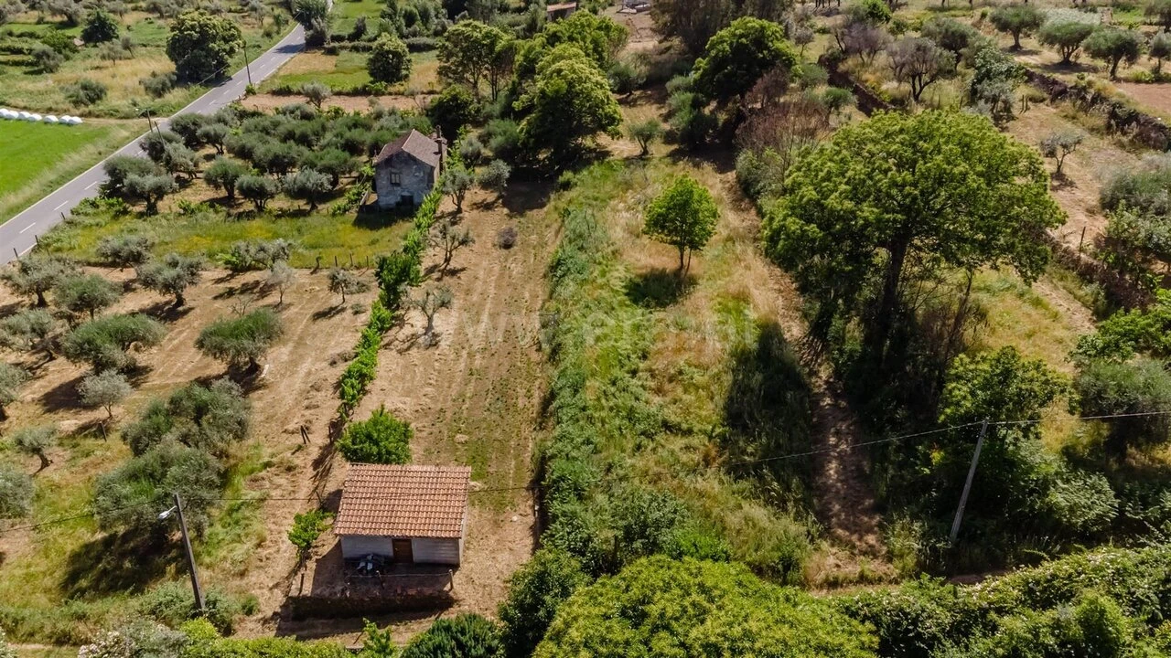 Terreno para Venda em Paul Foto 2