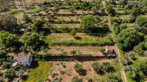 Terreno para Venda em Paul