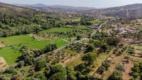 Terreno para Venda em Paul