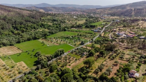 Terreno para Venda em Paul