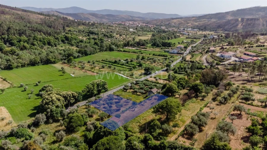 Terreno para Venda em Paul