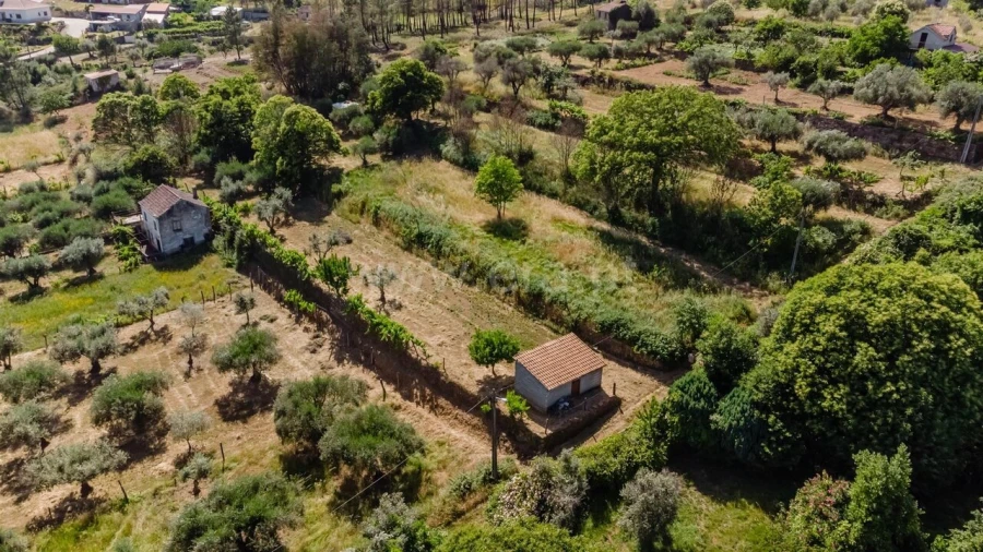 Terreno para Venda em Paul Foto 3