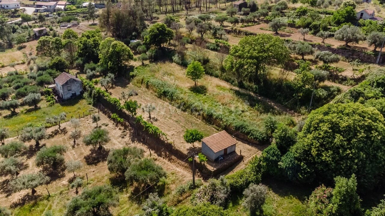 Terreno para Venda em Paul Foto 3
