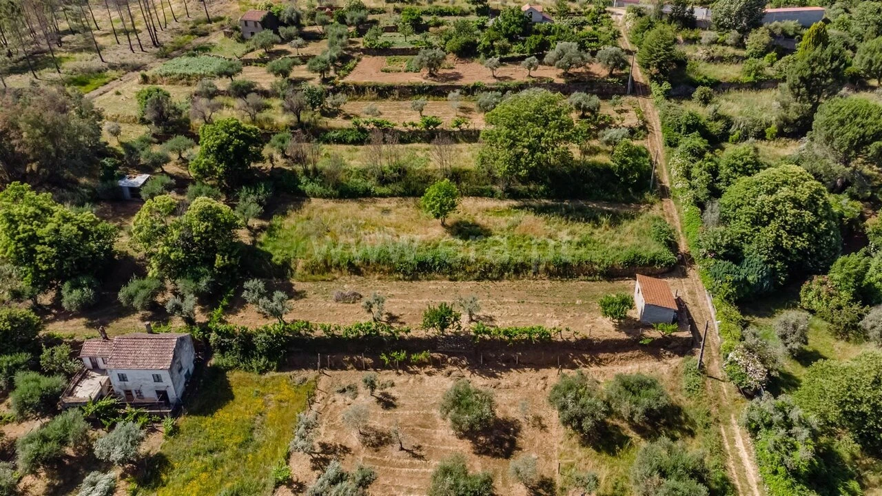 Terreno para Venda em Paul Foto 4