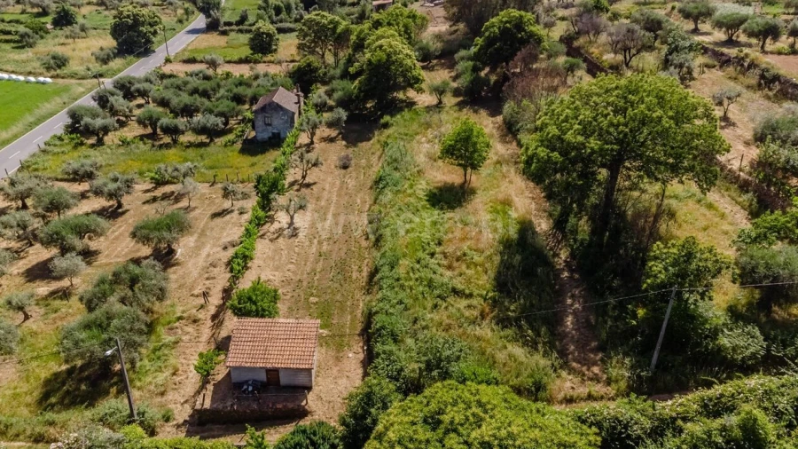 Terreno para Venda em Paul