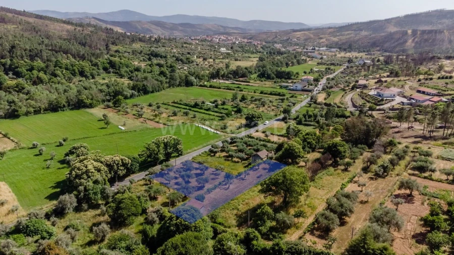Terreno para Venda em Paul