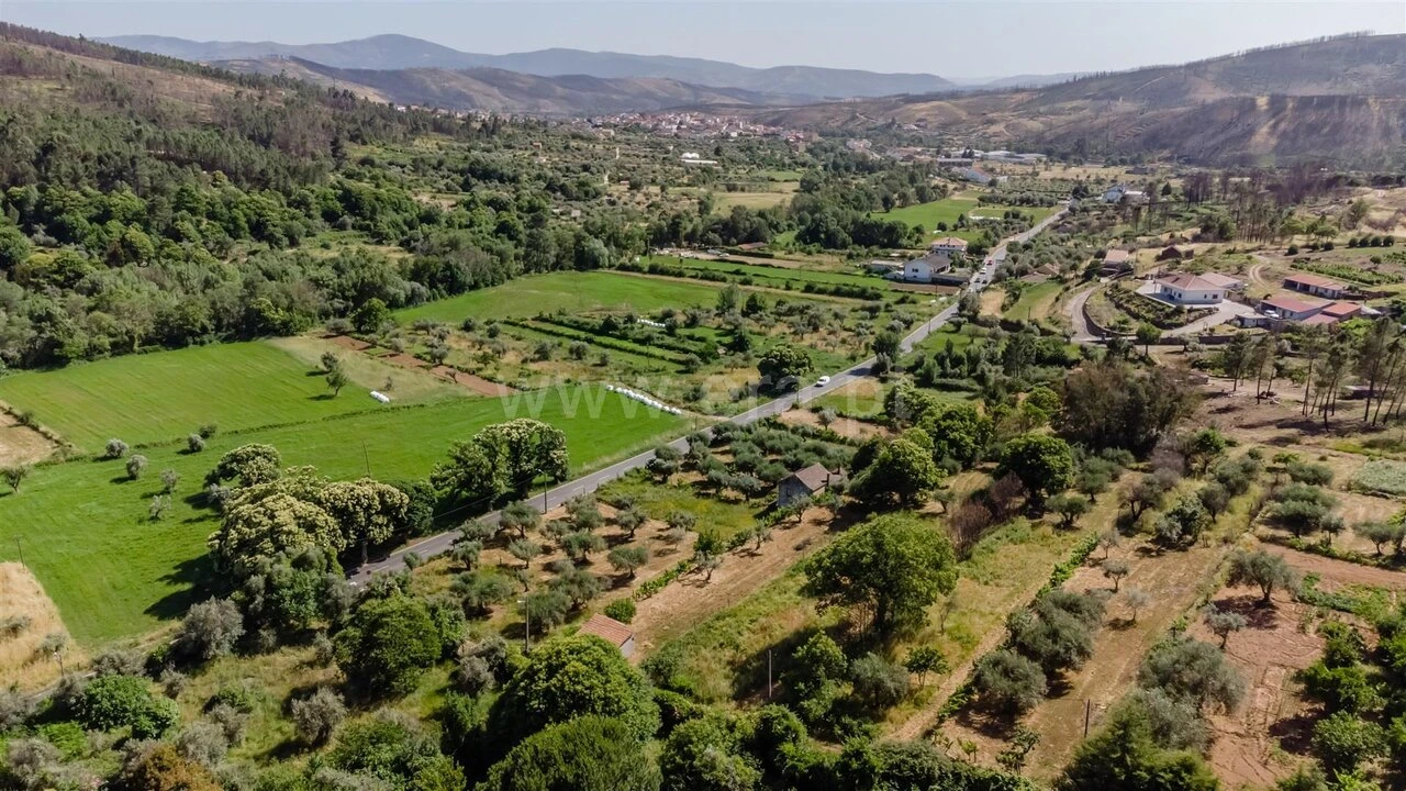 Terreno para Venda em Paul Foto 5