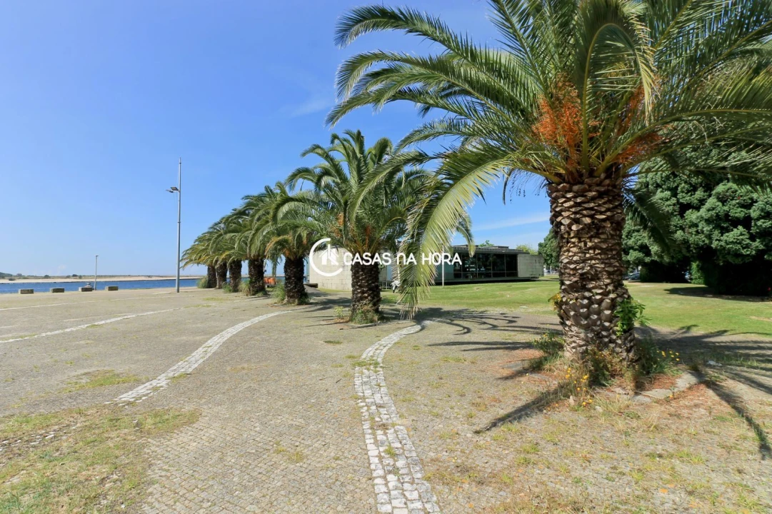 Apartamento T2 para Arrendamento em Aldoar, Foz do Douro e Nevogilde Foto 18