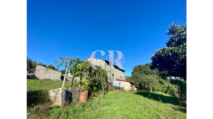 Armazém para Venda em Figueiró dos Vinhos e Bairradas Foto 6