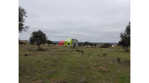 Terreno para Venda em Baleizão