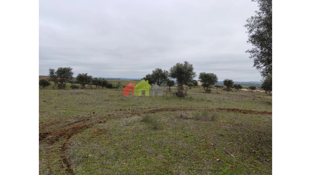 Terreno para Venda em Baleizão Foto 1