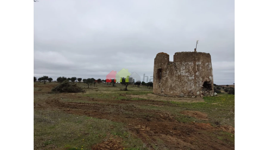 Terreno para Venda em Baleizão Foto 2