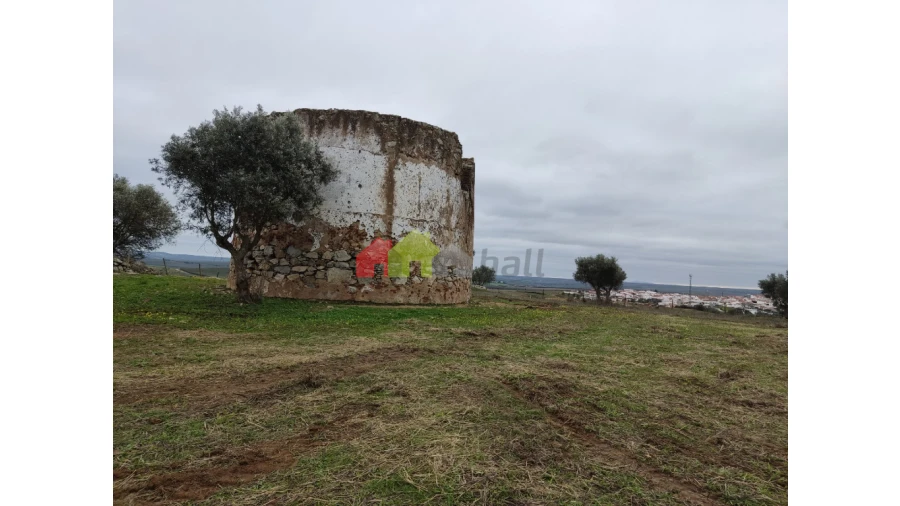 Terreno para Venda em Baleizão Foto 8