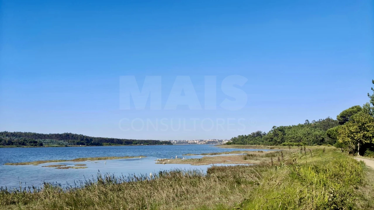 Terreno para Venda em Vau Foto 8