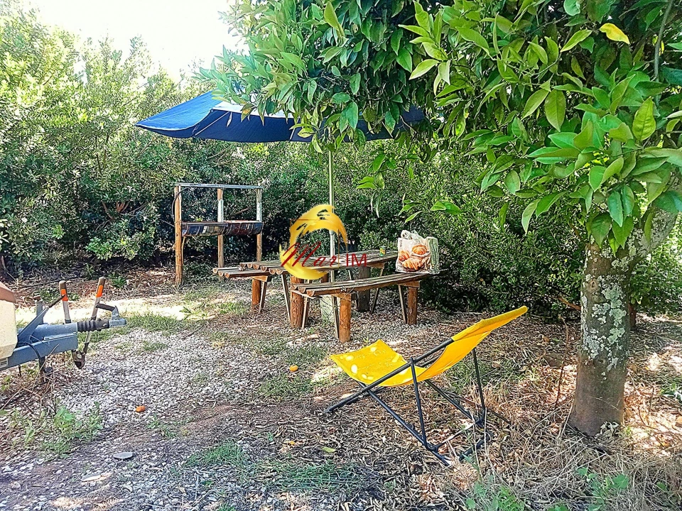 Terreno Agricola ou Rústico para Venda em Azinhal Foto 1
