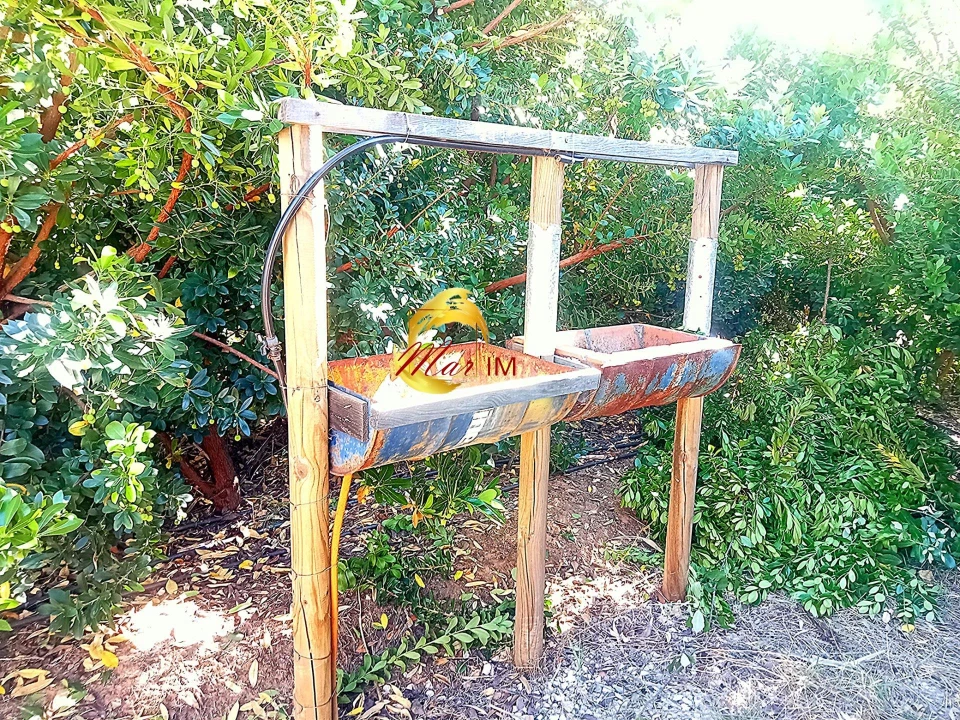 Terreno Agricola ou Rústico para Venda em Azinhal Foto 12