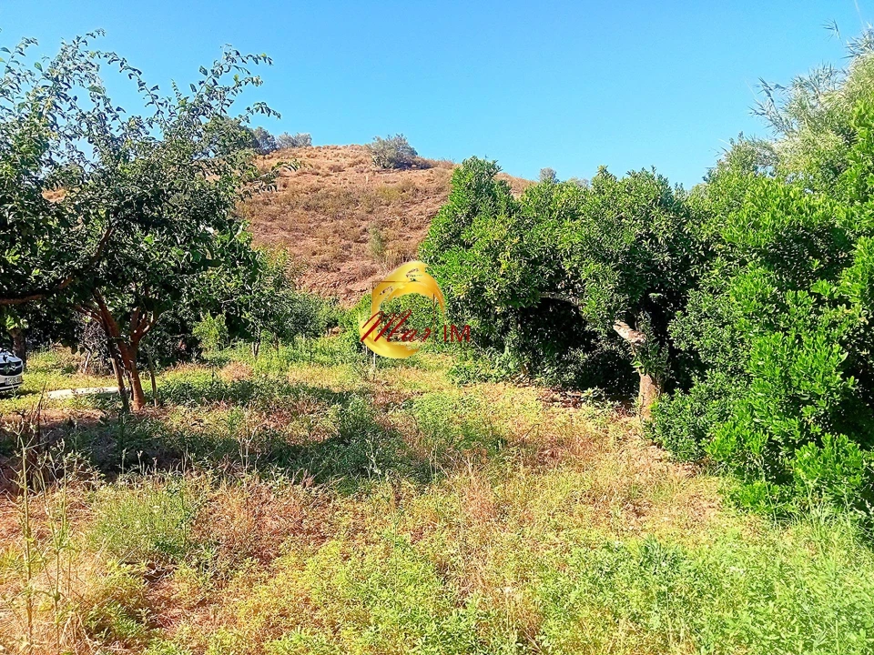 Terreno Agricola ou Rústico para Venda em Azinhal Foto 17
