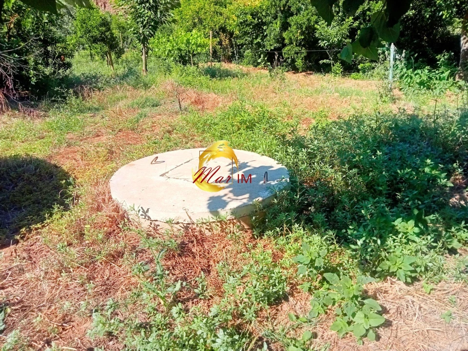 Terreno Agricola ou Rústico para Venda em Azinhal Foto 2
