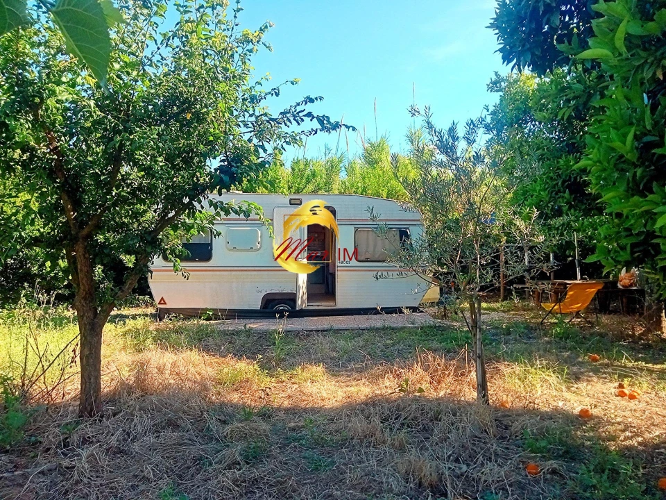 Terreno Agricola ou Rústico para Venda em Azinhal Foto 21