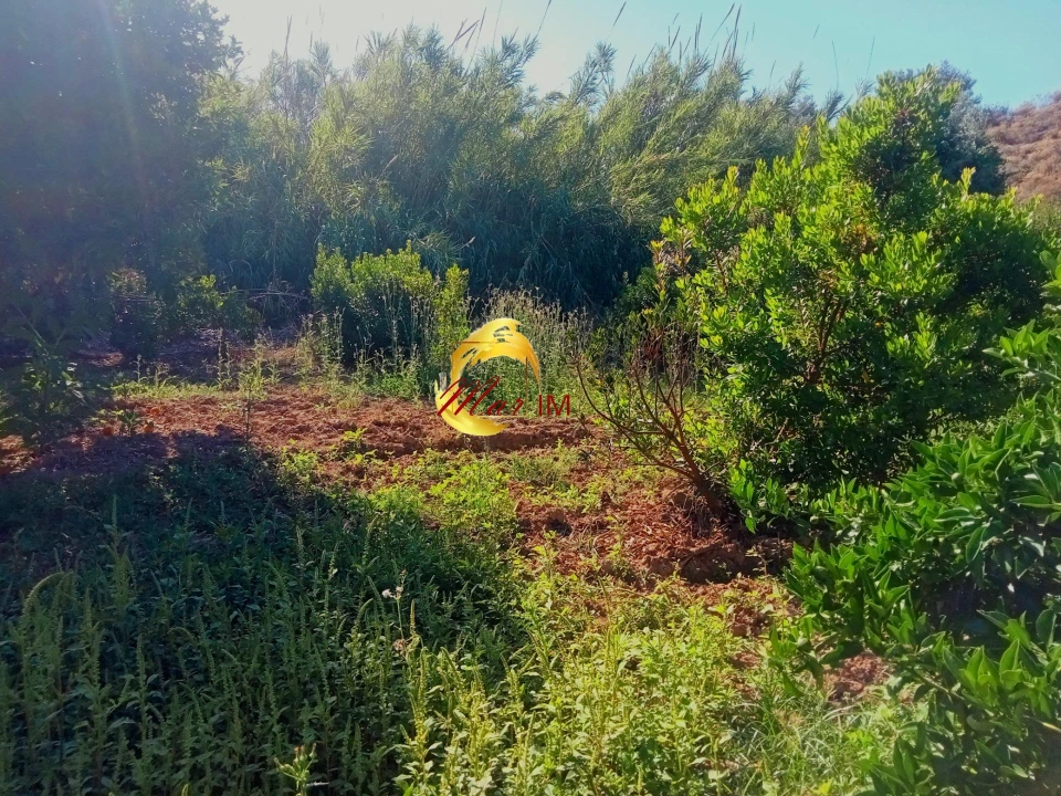 Terreno Agricola ou Rústico para Venda em Azinhal Foto 25
