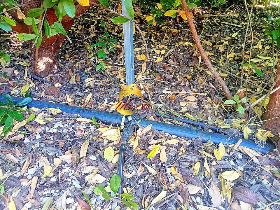 Terreno Agricola ou Rústico para Venda em Azinhal Foto 9