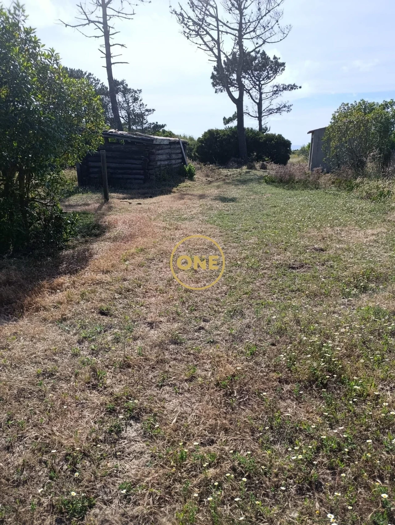 Quinta T3 para Venda em Santa Maria e São Miguel, São Martinho, São Pedro Penaferrim Foto 22