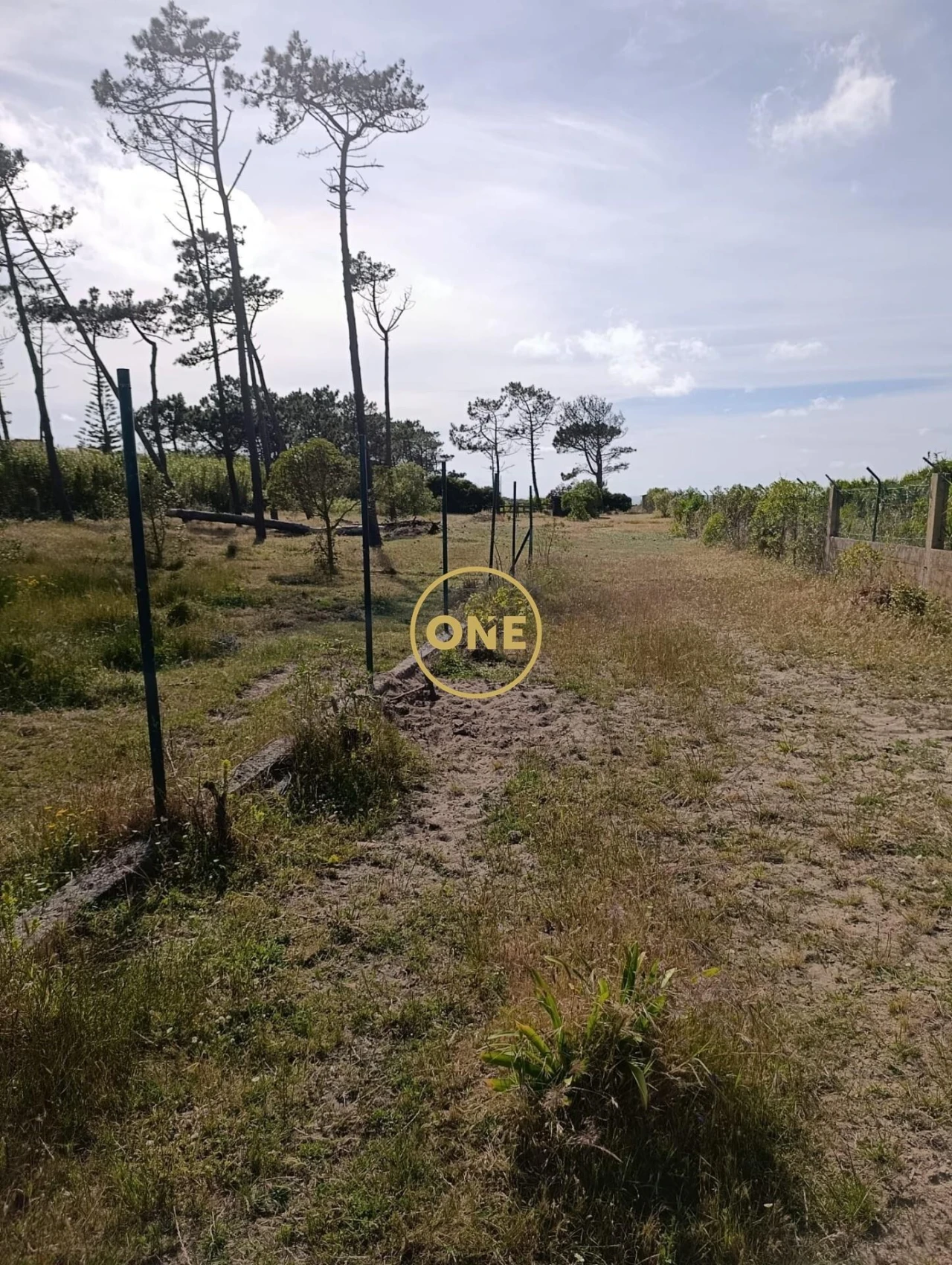 Quinta T3 para Venda em Santa Maria e São Miguel, São Martinho, São Pedro Penaferrim Foto 23