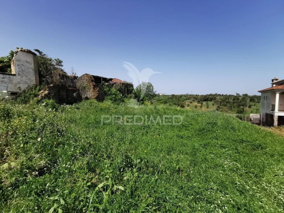 Quinta para Venda em Olalhas Foto 4