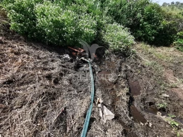 Quinta para Venda em Olalhas