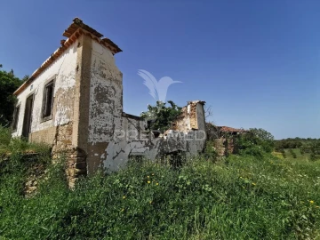 Quinta para Venda em Olalhas