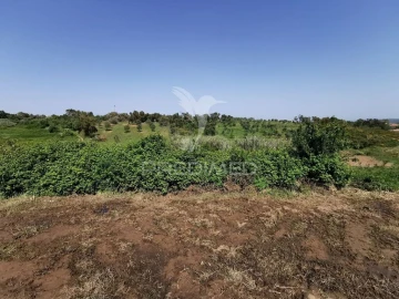 Quinta para Venda em Olalhas