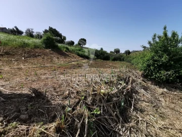 Quinta para Venda em Olalhas