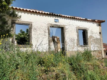 Quinta para Venda em Olalhas