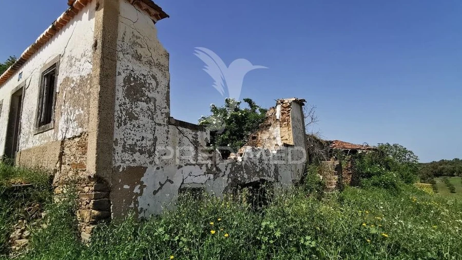 Quinta para Venda em Olalhas