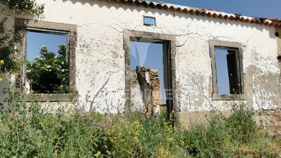Quinta para Venda em Olalhas