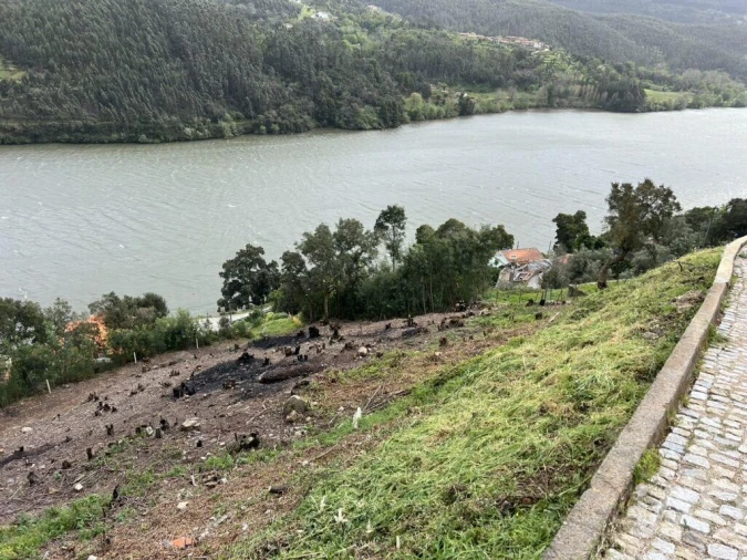 Terreno para Venda em Sebolido Foto 7