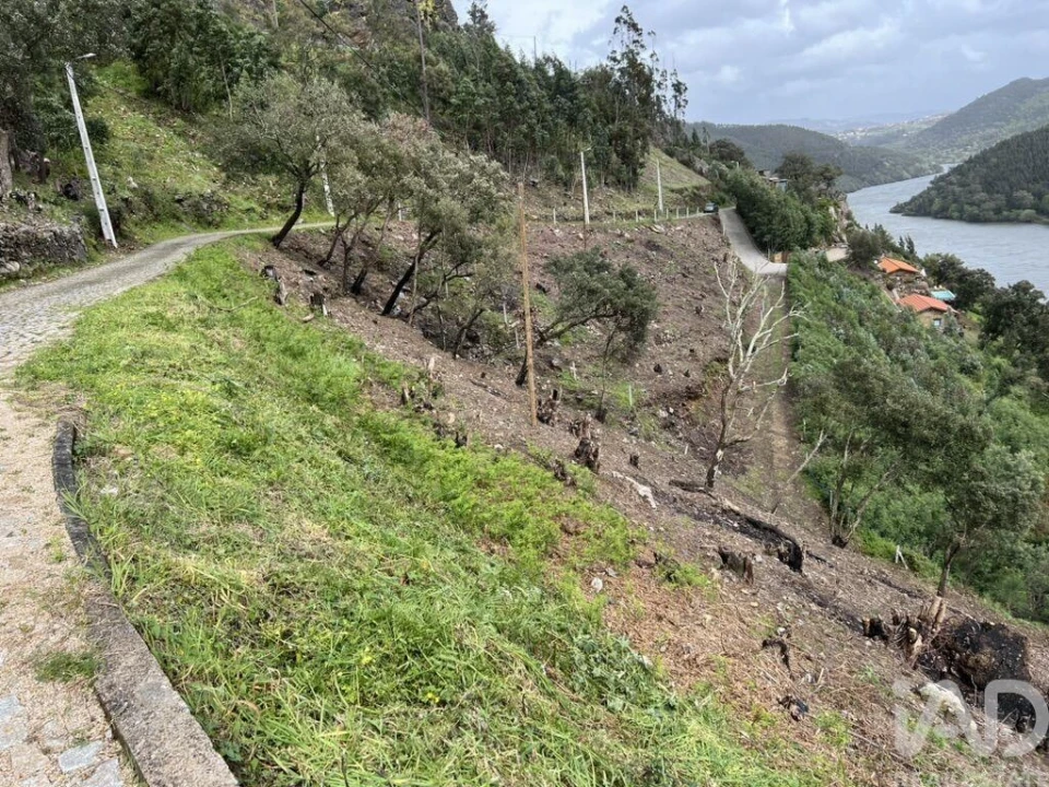 Terreno para Venda em Sebolido Foto 5