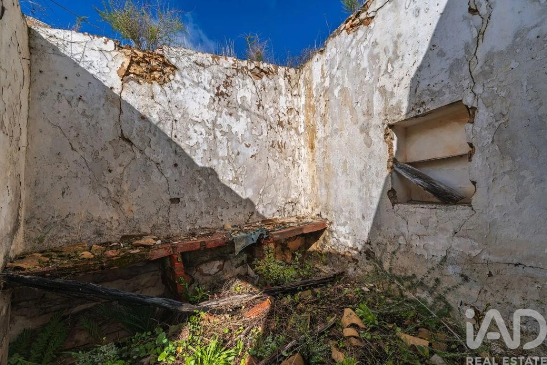 Terreno para Venda em Loule (São Sebastião) Foto 5