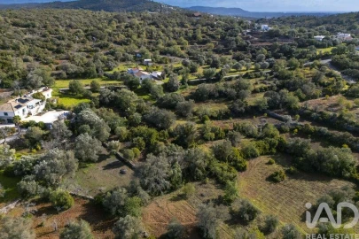 Terreno para Venda em Loule (São Sebastião)