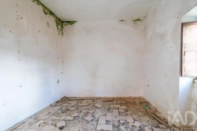 Terreno para Venda em Loule (São Sebastião)