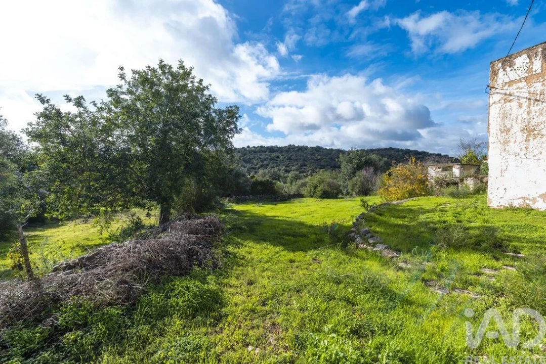Terreno para Venda em Loule (São Sebastião) Foto 4