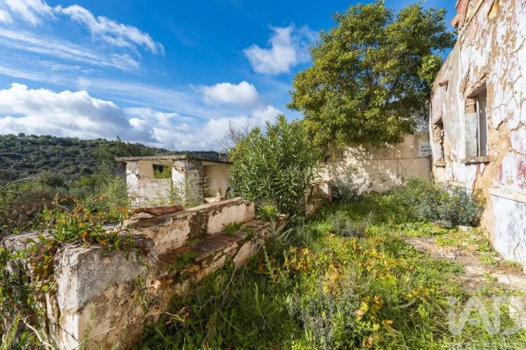 Terreno para Venda em Loule (São Sebastião) Foto 7