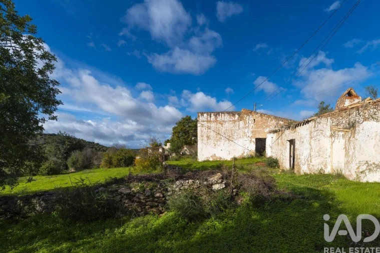 Terreno para Venda em Loule (São Sebastião) Foto 13