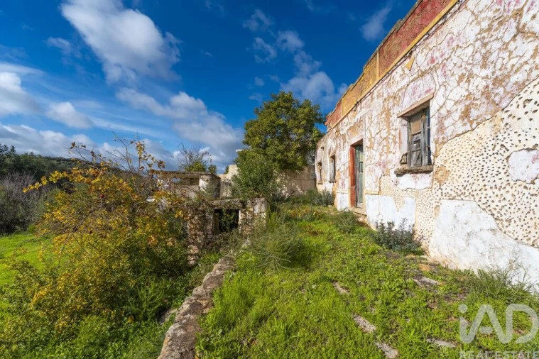 Terreno para Venda em Loule (São Sebastião) Foto 12