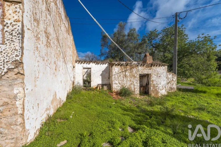 Terreno para Venda em Loule (São Sebastião) Foto 6
