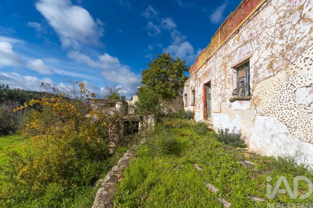 Terreno para Venda em Loule (São Sebastião) Foto 12