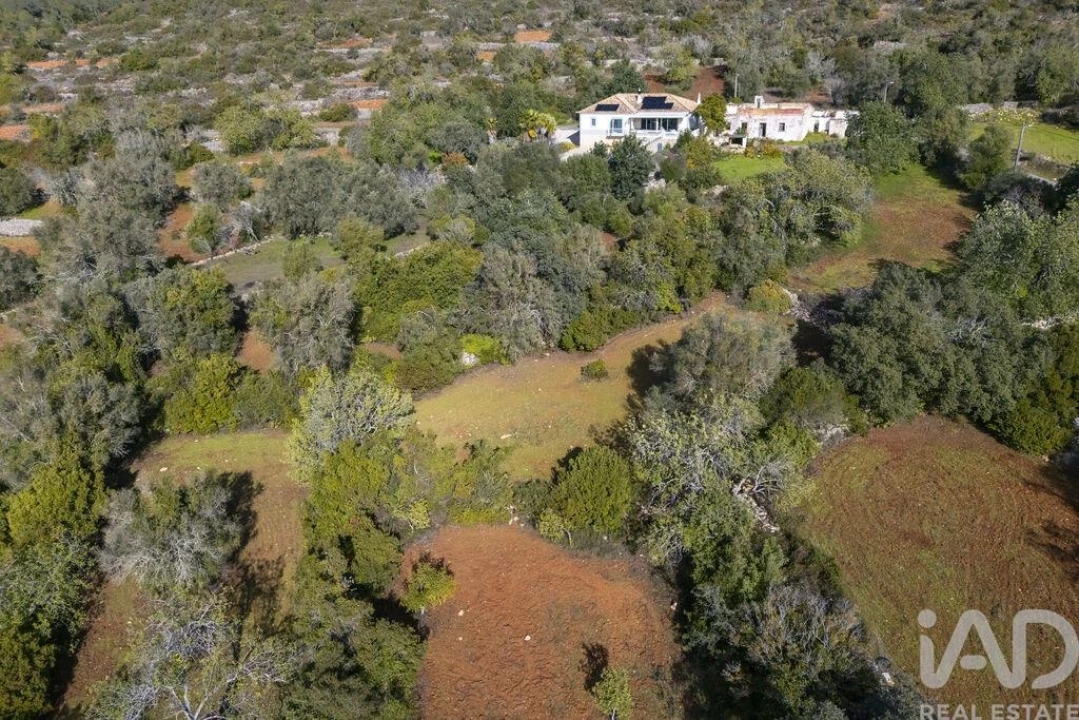 Terreno para Venda em Loule (São Sebastião) Foto 22
